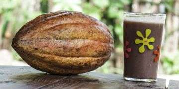 Cacao en Baracoa, en el oriente de Cuba. Foto: OnCuba Travel / Archivo.