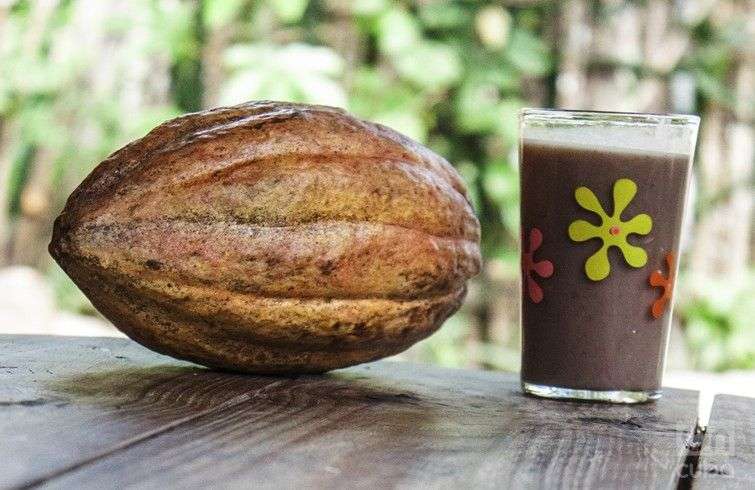 Cacao en Baracoa, en el oriente de Cuba. Foto: OnCuba Travel / Archivo.