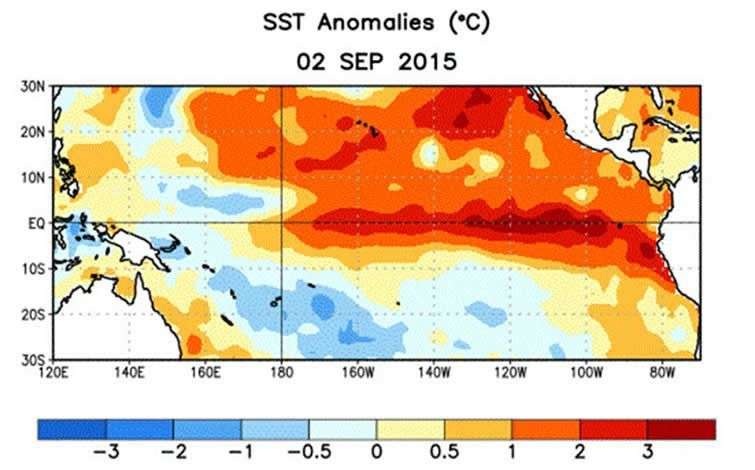 Anomalías de la Temperatura superficial del mar en el océano Pacífico, promediada en la semana centrada en 2 de septiembre de 2015. Obsérvese en fuerte calentamiento en el Ecuador próximo a Sudamérica.
