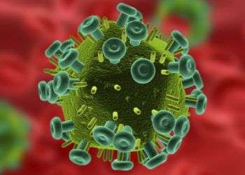 Virus del VIH-SIDA. Imagen de archivo.
