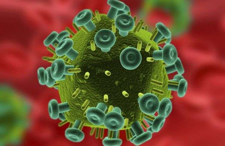 Virus del VIH-SIDA. Imagen de archivo.