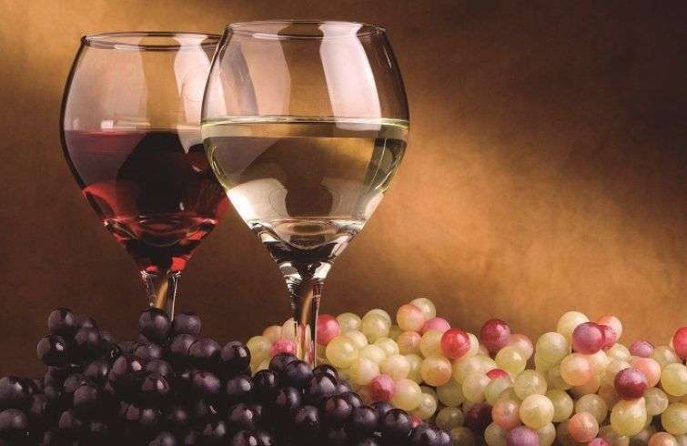 copas-uvas-vino-blanco-vino-tinto-755x490