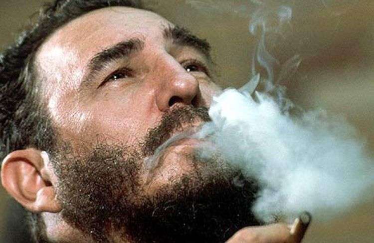 Fidel mencionó las propiedades de la moringa en sus Reflexiones. Foto: Alex Castro.