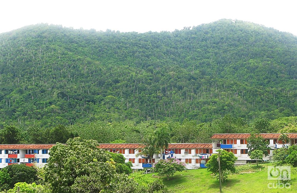 Las Terrazas. Archivo OnCuba