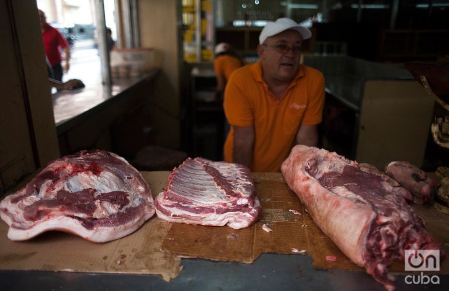 Foto: Pedro Chavedar.