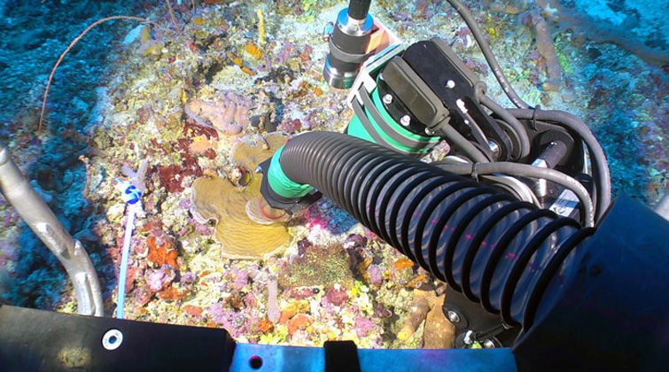 The ROV was key for the collection of samples during the mission. Photo:  Cuba’s Twilight Zone Reefs and Their Regional Connectivity.