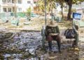 Venta de alimentos en el Vedado, La Habana. Foto: Claudio Pelaez Sordo.