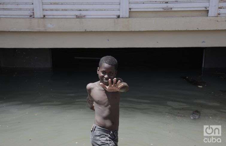 En la Habana, después del huracán Irma. Foto: Claudio Pelaez Sordo.