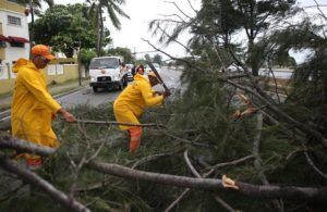 Personal del ministerio de Obras Públicas retira un árbol derribado por las fuertes rachas de viento provocadas por el huracán Irma hoy, jueves 7 de septiembre de 2017, en el Malecón de Santo Domingo (República Dominicana). Foto: Roberto Guzmán / EFE.