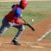 Cada vez se usa menos el toque de bola en MLB, pero en Cuba se recurre demasiado a esta jugada. Foto: Zona de Strike.
