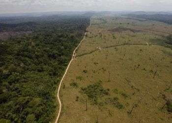 Vista panorámica de una zona deforestada cerca de Novo Progresso en el estado de Para, Brasil, en 2009. Foto: Andre Penner / AP.