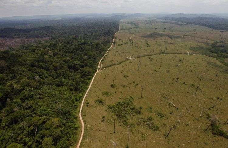 Vista panorámica de una zona deforestada cerca de Novo Progresso en el estado de Para, Brasil, en 2009. Foto: Andre Penner / AP.
