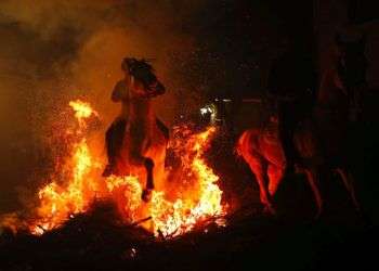 Un caballo y su jinete emergen de entre las llamas en el festival anual de Las Luminarias el 16 de enero del 2018 en San Bartolomé de Pinares, España. Es una tradición de siglos y se supone que el humo purifica los animales y los protege. Foto: Francisco Seco / AP.