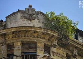 En las fachadas de antiguos edificios se ven plantas. Fotos: Otmaro Rodríguez.