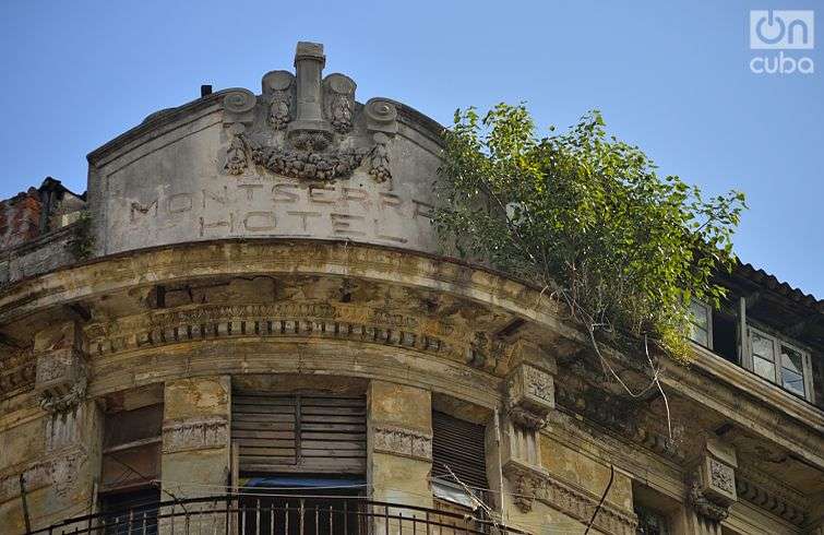 En las fachadas de antiguos edificios se ven plantas. Fotos: Otmaro Rodríguez.