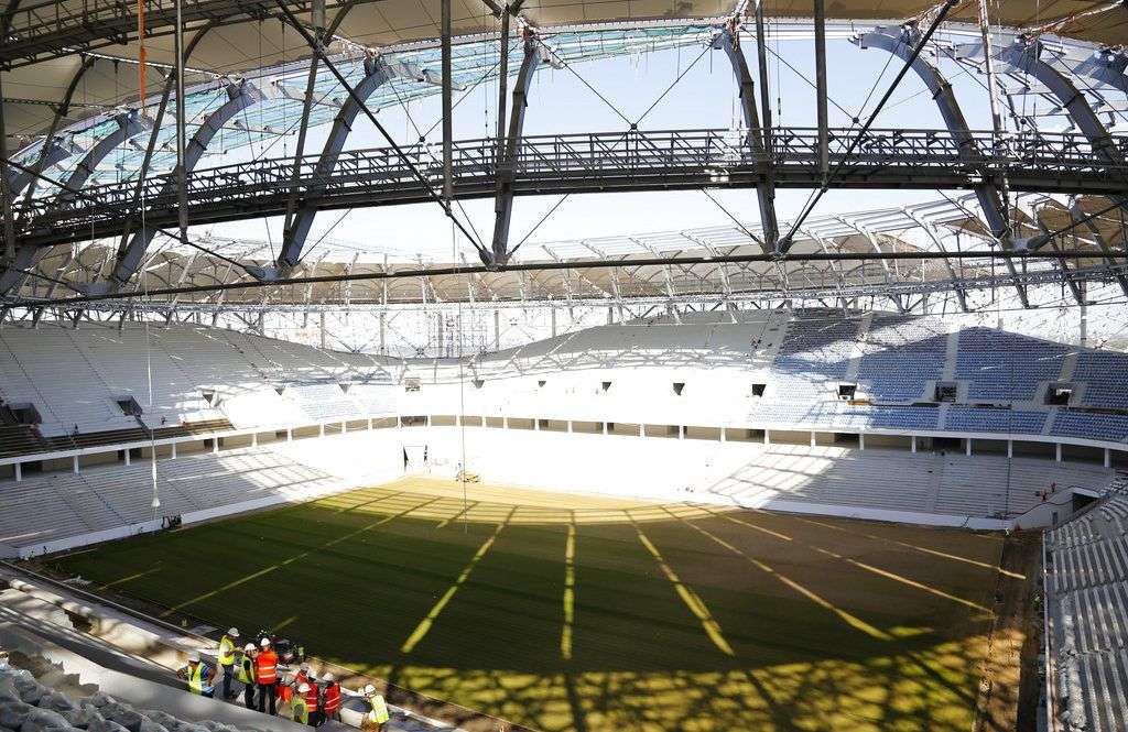 El comité organizador de la Copa del Mundo de fútbol de 2018 descartó que las langostas puedan afectar los terrenos de juego durante el torneo en Rusia. Foto: AP.