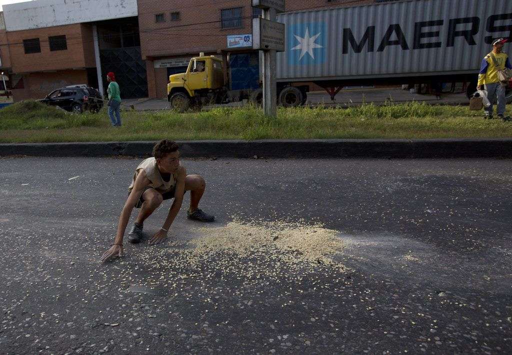 Un joven recoge granos de maíz que cayeron de un camión fuera del puerto de Puerto Cabello, Venezuela. Foto: Fernando Llano / AP.