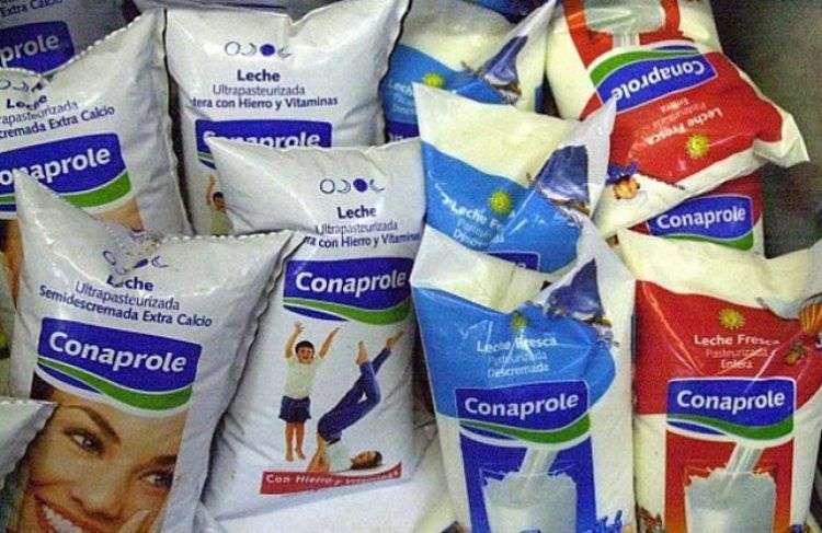 Conaprole, es una empresa (cooperativa) láctea uruguaya fundada en 1936. Es una de las mayores exportadoras de América Latina.