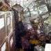 Foto del caos en los almacenes de La Conchita publicada por el diario Granma. Foto: Contraloría Provincial de Pinar del Río.