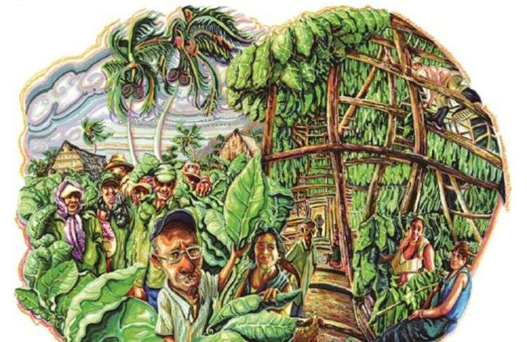Una de las ilustraciones de Roberto Sánchez Terreros para el libro "Cuba y el Tabaco". Foto: El Mundo.