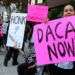 Manifestantes piden que se mantenga el programa DACA en Los Ángeles, California, en enero de 2018. Foto: Reed Saxon / AP.