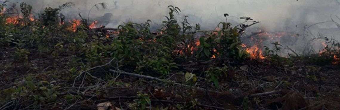 Gran incendio forestal en Pinar del Río. Foto: Daimí Díaz Breijo / Tele Pinar.