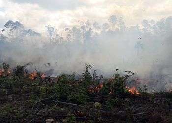 Gran incendio forestal en Pinar del Río. Foto: Daimí Díaz Breijo / Tele Pinar.