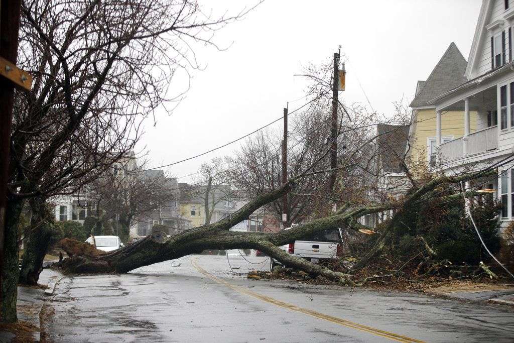 Árbol bloquea una calle residencial tras derribar un cable de electricidad en Swampscott, Massachusetts. Foto: Elise Amendola / AP.