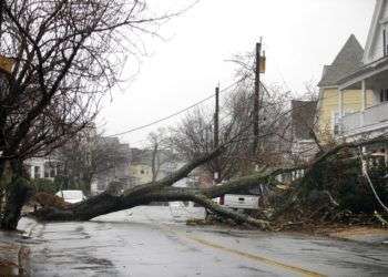 Árbol bloquea una calle residencial tras derribar un cable de electricidad en Swampscott, Massachusetts. Foto: Elise Amendola / AP.