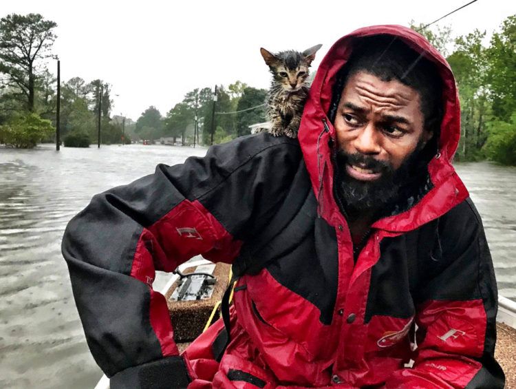 Un miembro de la Guardia Costera camina entre las aguas de una inundación causada por Florence en Newport, Carolina del Norte. Foto: Tom Copeland / AP.