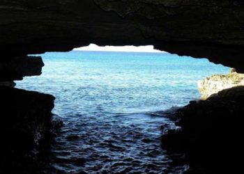 Entrada a la Cueva del Criadero, en la Isla de la Juventud, donde se descubrió un nuevo sitio de arte rupestre. Foto: Granma.