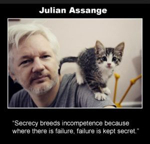 Otro de los memes que circula en las redes sociales sobre el gato de Assange.