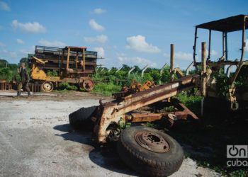 Empresa estatal agrícola Cítricos Ceiba, en la provincia cubana de Artemisa. Foto: Otmaro Rodríguez, archivo.