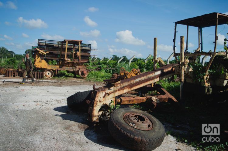 Empresa estatal agrícola Cítricos Ceiba, en la provincia cubana de Artemisa. Foto: Otmaro Rodríguez, archivo.