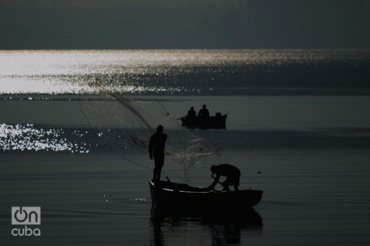 Pescadores en la bahía de Matanzas. Foto: Otmaro Rodríguez.