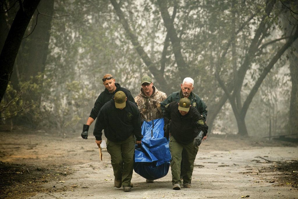 Agentes del sheriff cargan restos humanos en un barrio destruido por un incendio forestal el sábado 10 de noviembre de 2018, en Paradise, California. Foto: Noah Berger / AP.