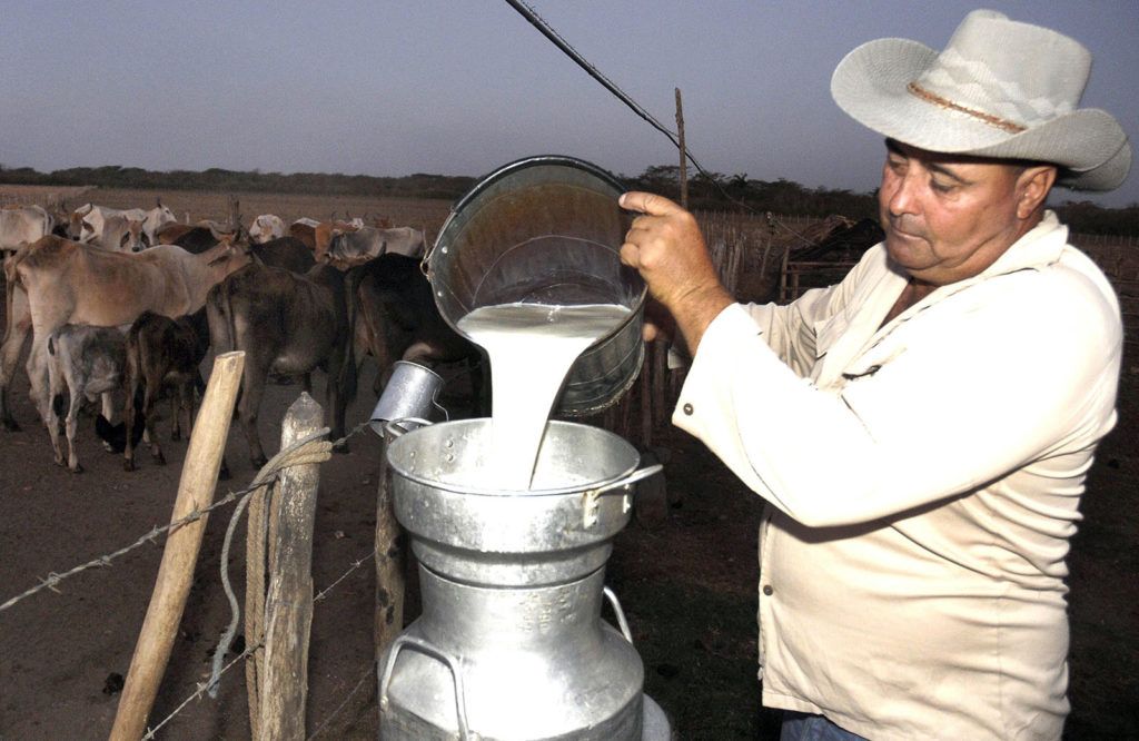 Foto: René Pérez Massola / Trabajadores / Archivo.