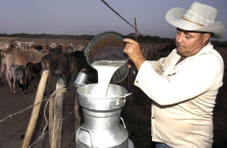 Foto: René Pérez Massola / Trabajadores / Archivo.