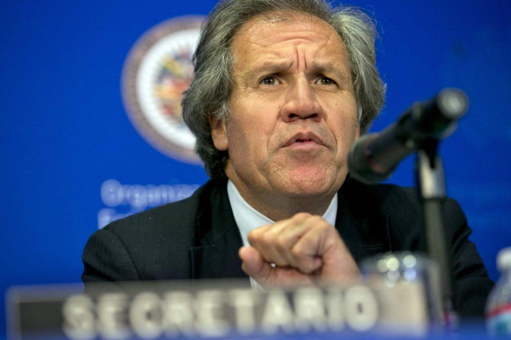 Luis Almagro, secretario General de la OEA. Foto: AP.