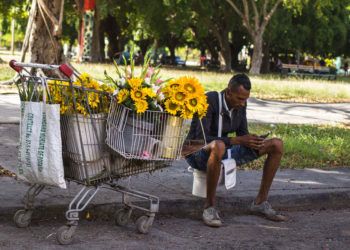 Un vendedor de flores se toma un descanso para navegar en internet con su teléfono móvil en La Habana, Cuba, el 6 de diciembre de 2018. Foto: Desmond Boylan / AP.