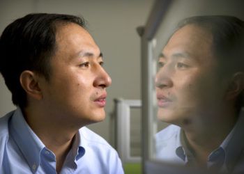 En esta imagen de archivo, tomada el 10 de octubre de 2018, la imagen de He Jiankui se refleja en un panel de cristal mientras trabaja en una computadora en un laboratorio en Shenzhen, en la provincia de Guangdong, en el sur de China. Foto: Mark Schiefelbein / AP.