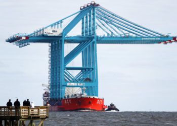 Espectadores se reúnen para observar a una embarcación china que traslada enormes grúas cerca de la entrada de Hampton Roads, en Hampton, Virginia, el lunes 7 de enero de 2019. (AP Foto/Steve Helber)