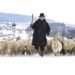Un pastor dirige a un rebaño de ovejas y cabras sobre los campos cubiertos de nieve cerca de la aldea Langenenslingen-Wilflingen en Alemania, el viernes 11 de enero de 2019. Foto: Thomas Warnack / dpa vía AP.