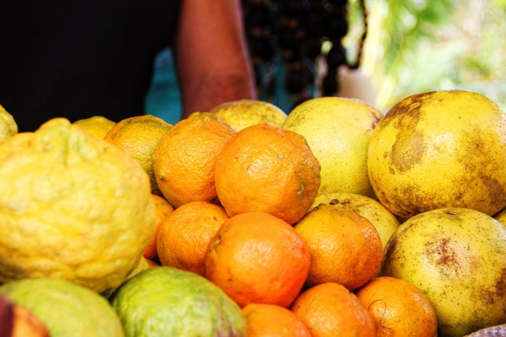 ¿Por qué no permitir cooperativas de segundo grado para la exportación de frutas desde Cuba Foto: pxhere.com