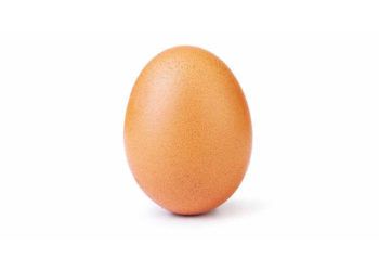 La foto de un huevo se convirtió en la más gustada en la red social Instagram. Foto: world_record_egg / Instagram.