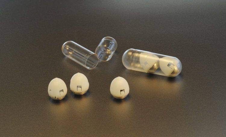 Fotografía proporcionada por los investigadores en febrero de 2019 de los componentes de un dispositivo que puede inyectar medicamentos desde el interior del estómago. Foto: Felice Frankel vía AP.
