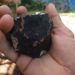 Posible fragmento de meteorito caído en Valle de Viñales en Pinar del Río, el 1 de febrero de 2019. Foto: Fátima Rivero Amador / Facebook.