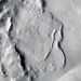 Imagen sin fecha proveída por la Agencia Espacial Europea (ESA) que muestra la superficie de Marte. Foto: NASA / JPL-Caltech / MSSS vía AP.