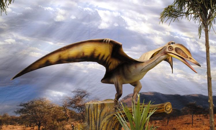 Reconstrucción artística de un pterosaurio. Imagen: geofrik.com
