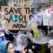 Jóvenes se manifiestan a favor de la adopción de medidas contra el cambio climático con un letrero que dice: "Salven al mundo ahora" durante una concentración en Berlín, Alemania, el viernes 22 de marzo de 2019. Foto: Christoph Soeder / dpa vía AP.